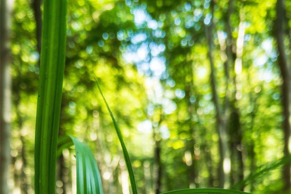 能耗監(jiān)測系統(tǒng)的系統(tǒng)開發(fā)需求之系統(tǒng)性能需求！