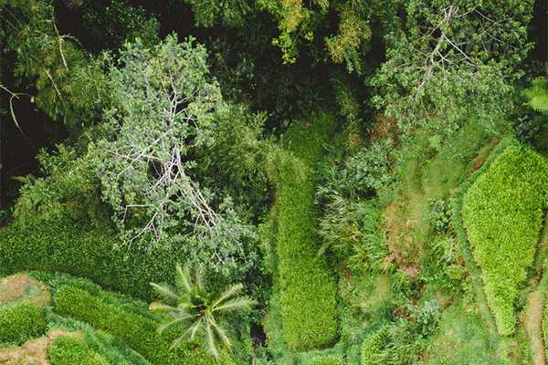 極端熱浪持續(xù)沖擊全球能源系統(tǒng)，中央空調(diào)系統(tǒng)顯身手！