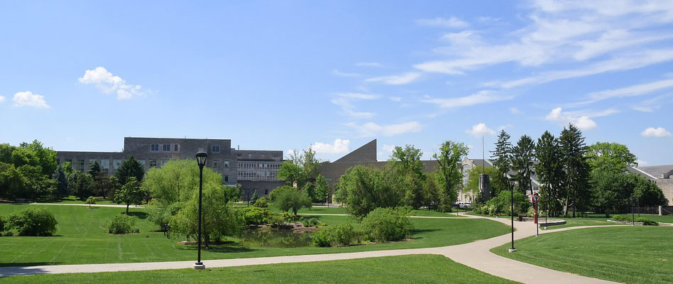 綠色校園(圖1) 綠色校園.jpg